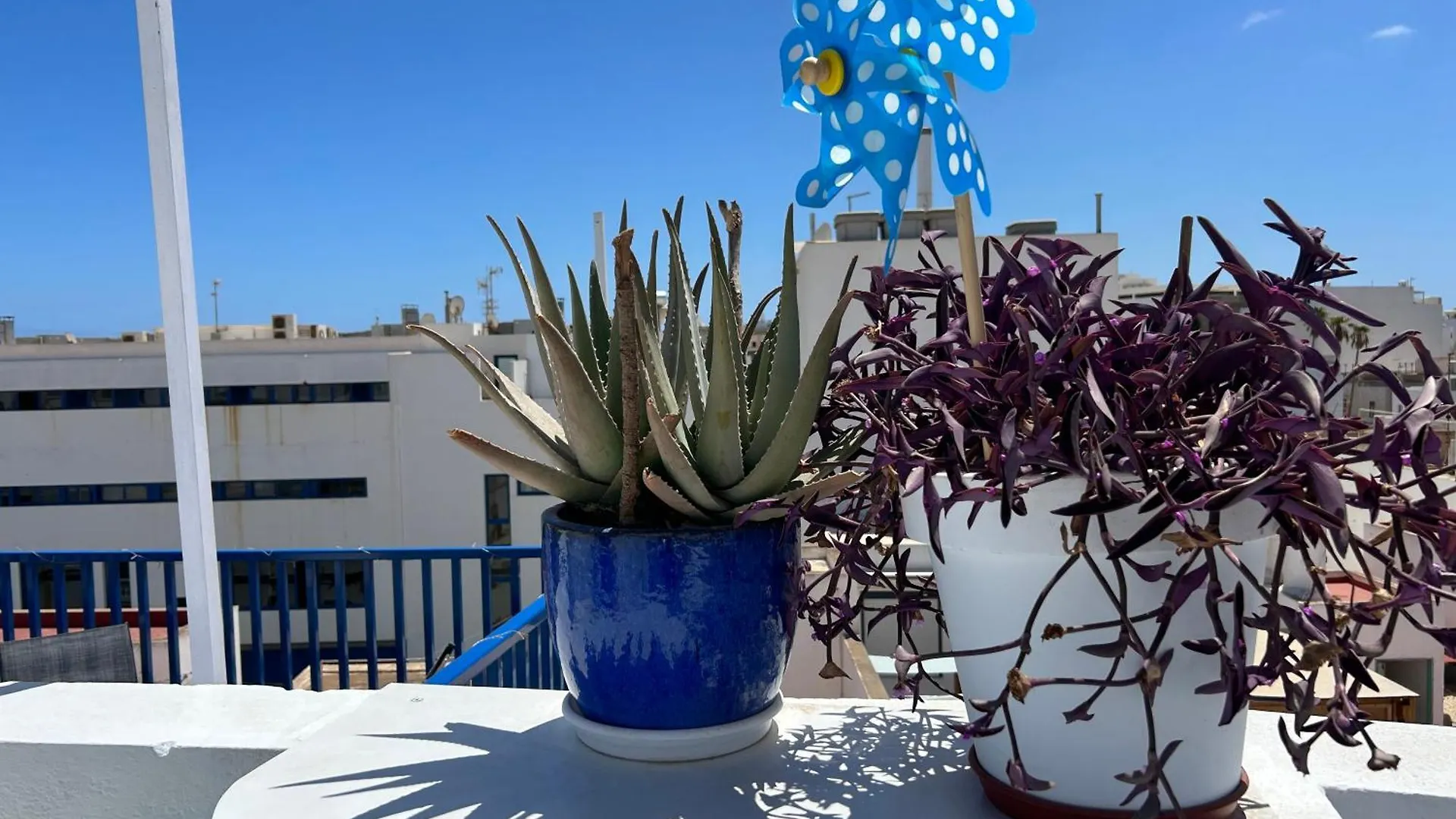 Pensión La Buganvilla Rooms Arrecife