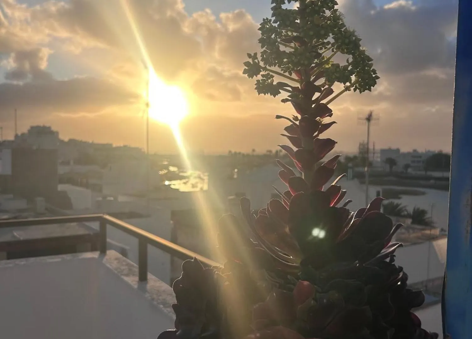 La Buganvilla Rooms Arrecife