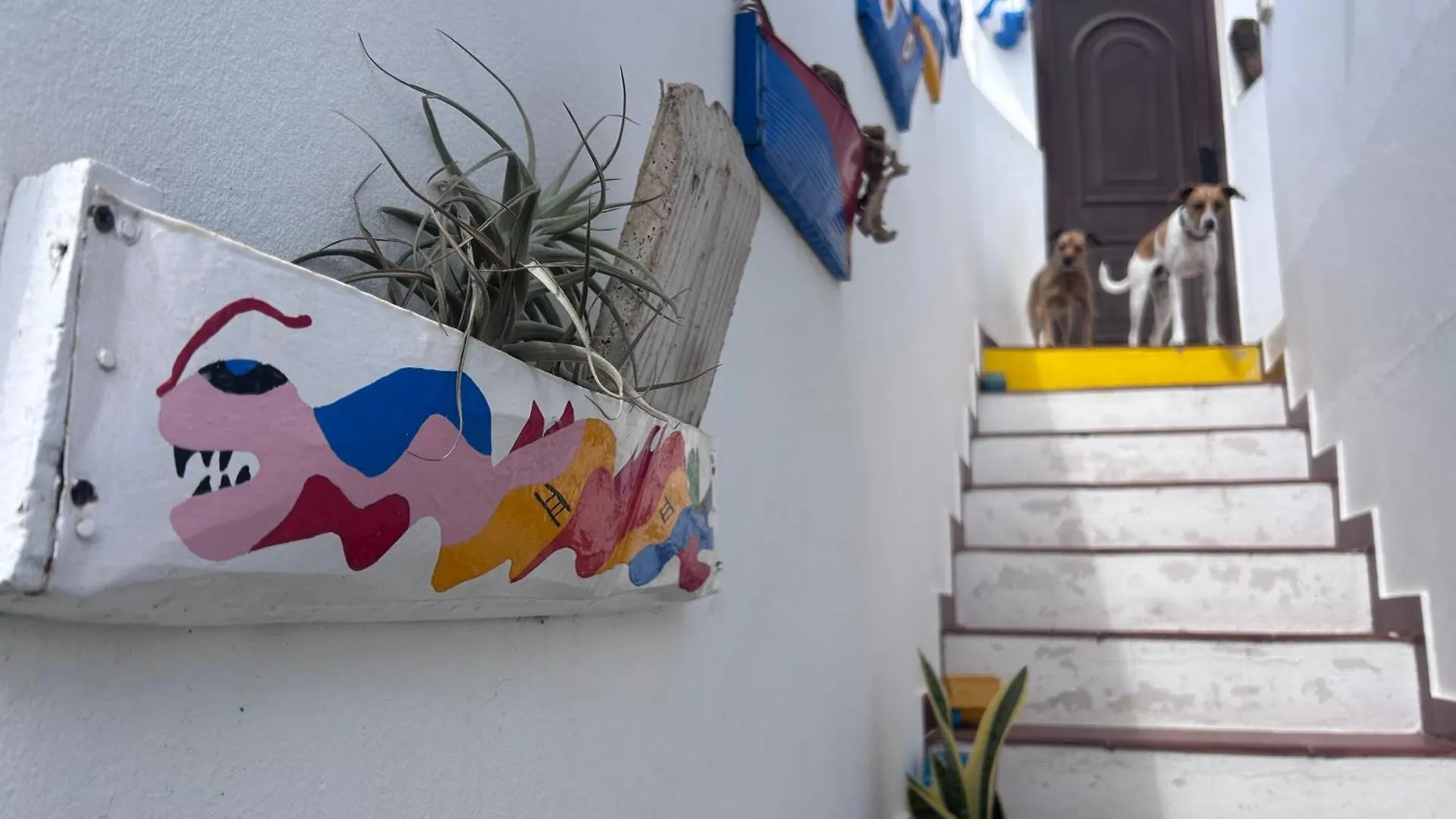La Buganvilla Rooms Arrecife  Pensión Arrecife (Lanzarote)